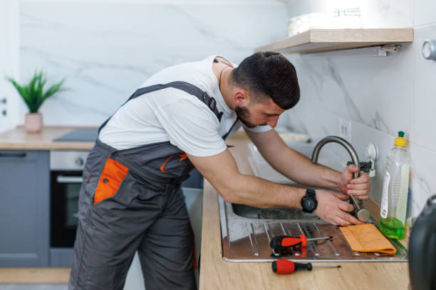 Best Local Plumber Services  in Dorneyville, PA